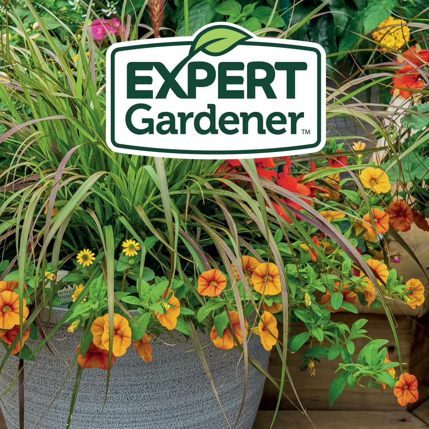 Potting Mix for Potted Plants, 8 Qt.