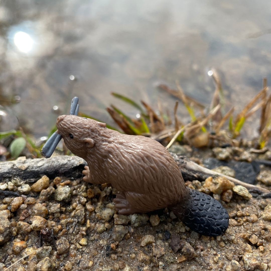 River Animal Toys TOOB®