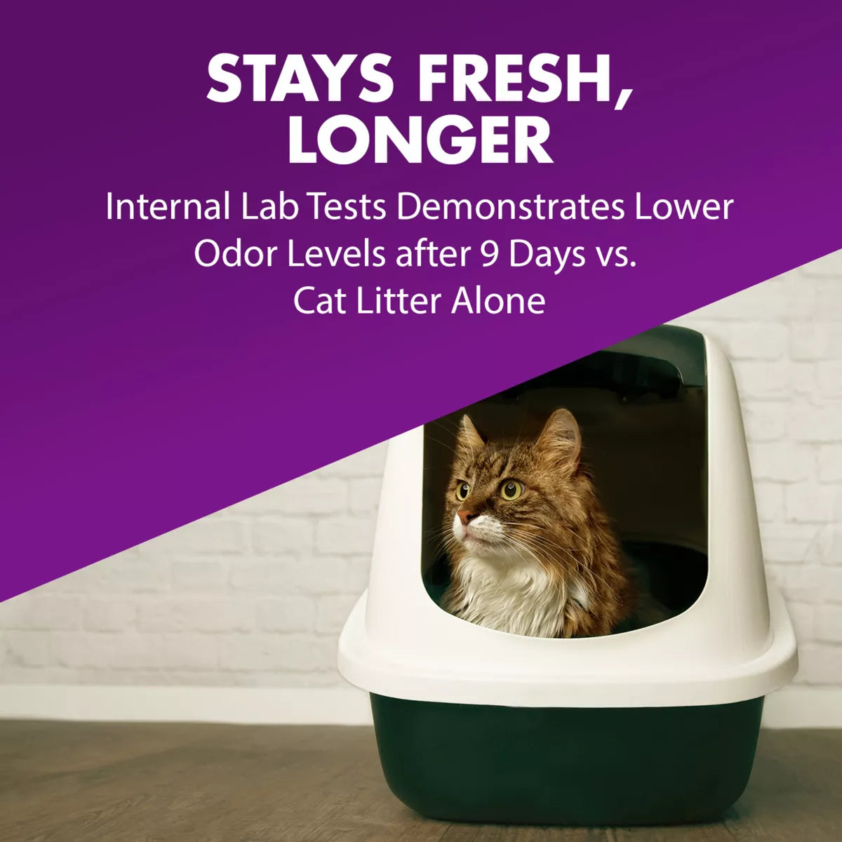 Arm & Hammer Odor Control Cat Litter Deodorizer Double Duty - 30Oz