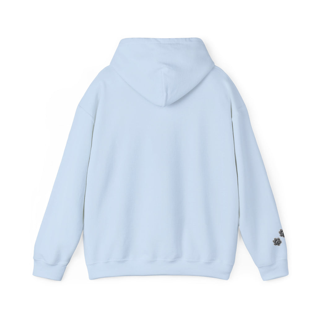 Fluffy Kitten Diego-Cat Lover Hoodie with Paw Print Design