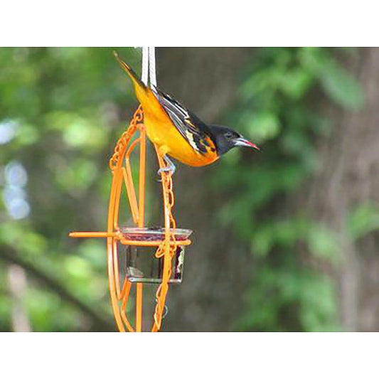 Metallic Songbird Delight Bird Feeder