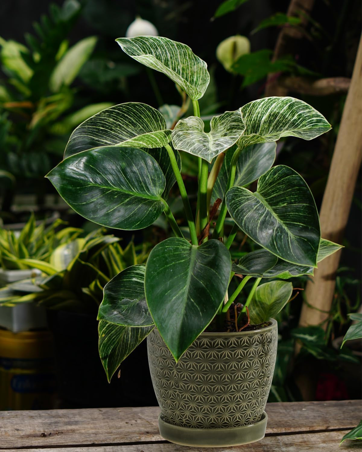 Plant Pots, Flower Pots, Planters for Indoor Plants(6.5+5.5Inch), Flower Pots for Indoor Plant with Drainage Hole and Saucer, Ceramic Pots for Plants with Hole Mesh Pad,Reactive Glaze Green