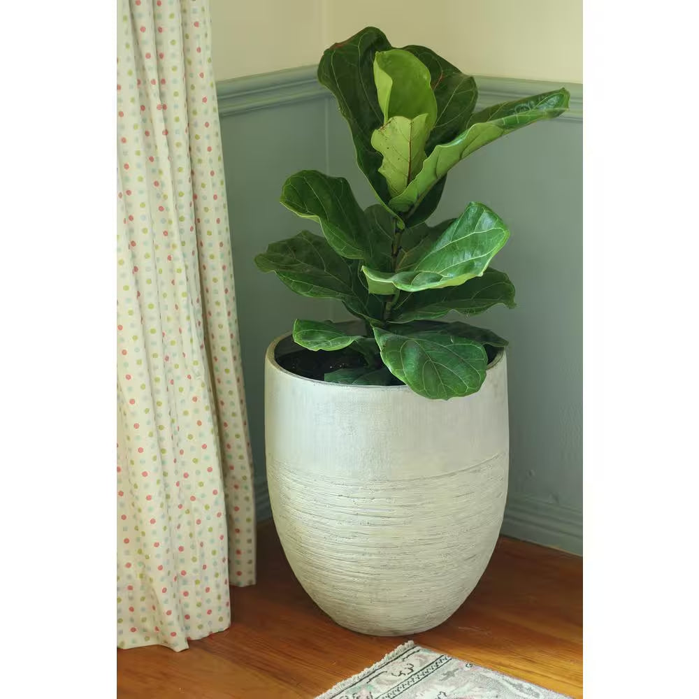 Jennings Large Gray Plastic Fiberglass Tall Decorative Planter with Drainage Hole (17 In. L X 17 In. W X 19 In. H)