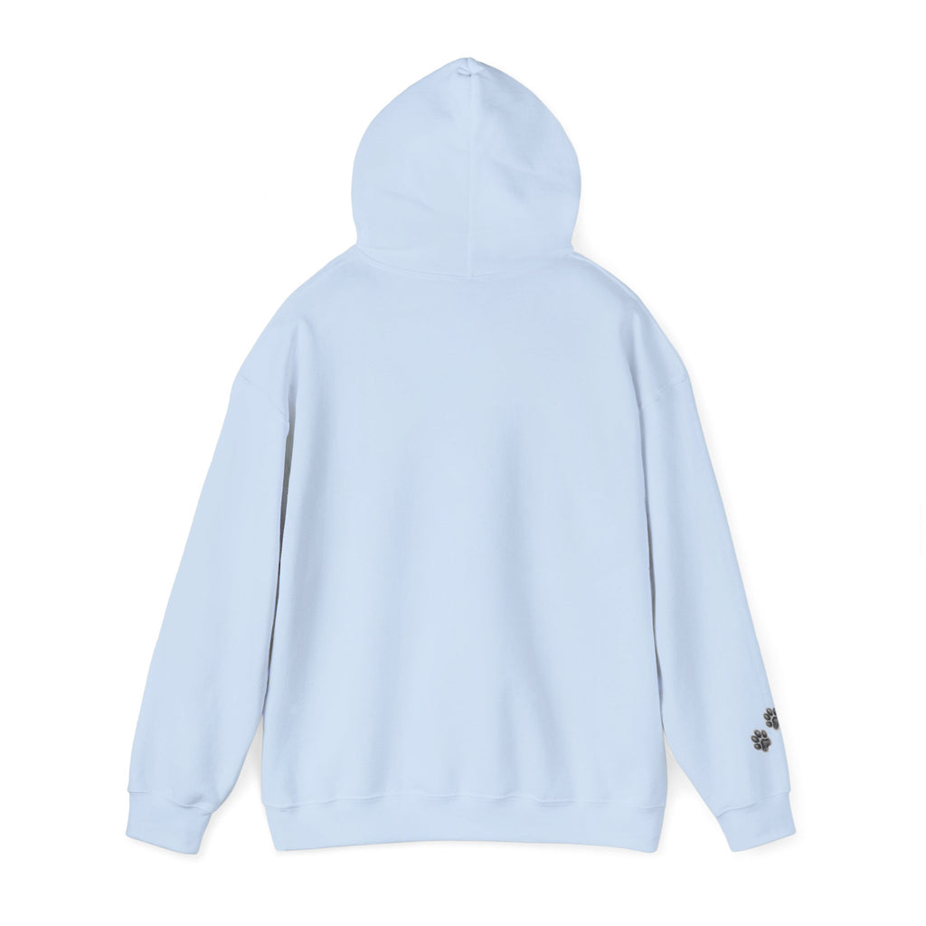 Fluffy Kitten Diego-Cat Lover Hoodie with Paw Print Design