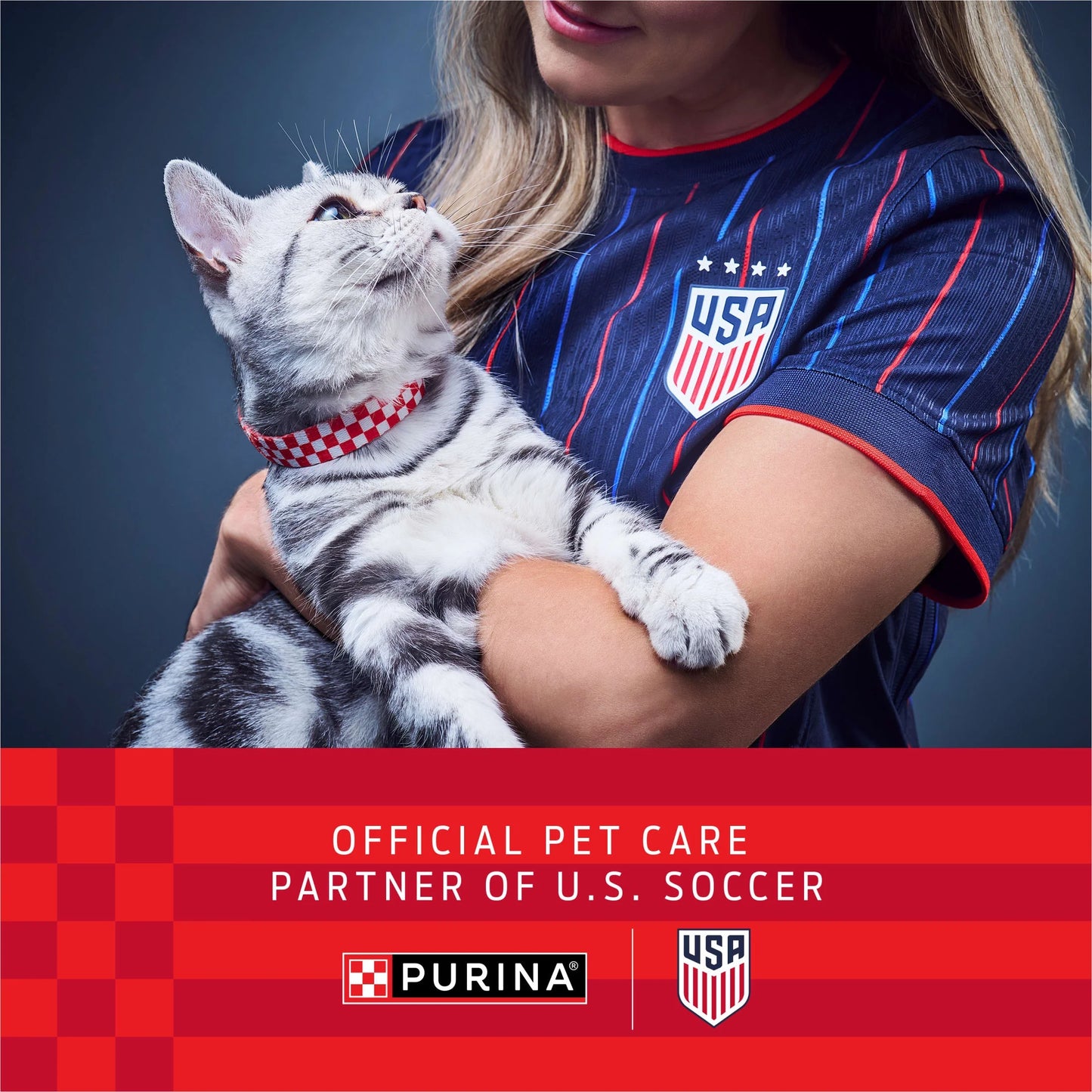 Purina  Lightweight Clumping Cat Litter, Unscented, 8.5 Lb Jug