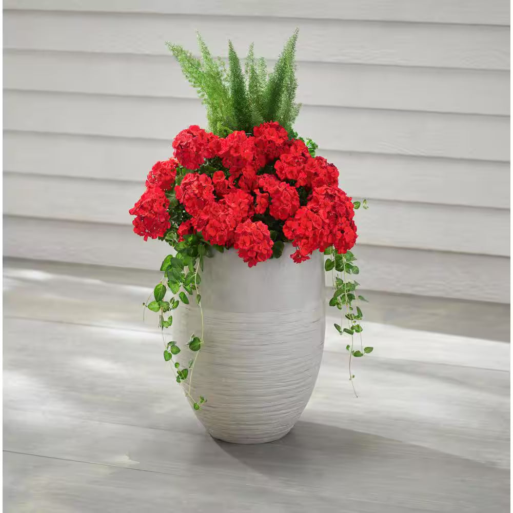 Jennings Large Gray Plastic Fiberglass Tall Decorative Planter with Drainage Hole (17 In. L X 17 In. W X 19 In. H)
