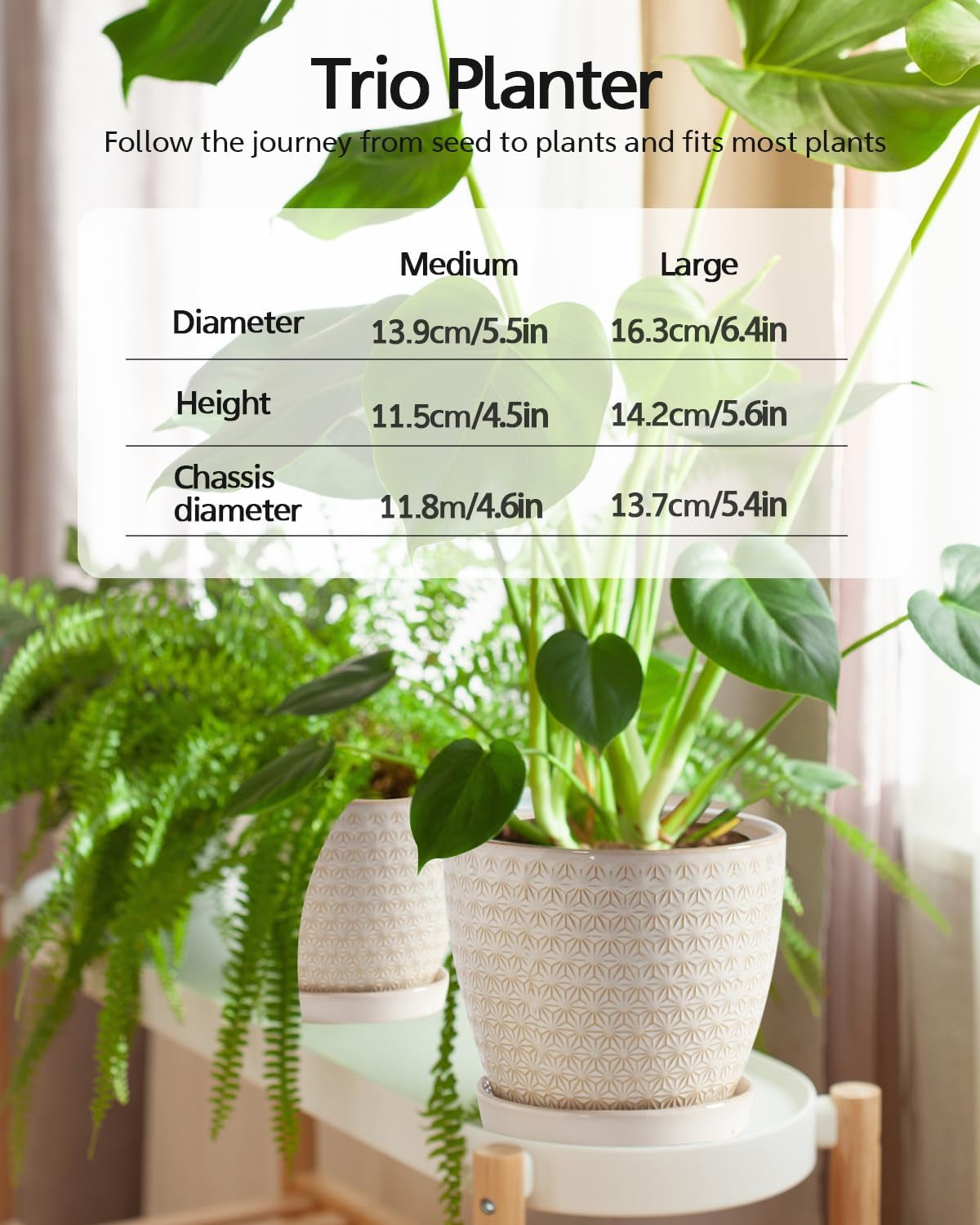 Plant Pots, Flower Pots, Planters for Indoor Plants(6.5+5.5Inch), Flower Pots for Indoor Plant with Drainage Hole and Saucer, Ceramic Pots for Plants with Hole Mesh Pad,Reactive Glaze White