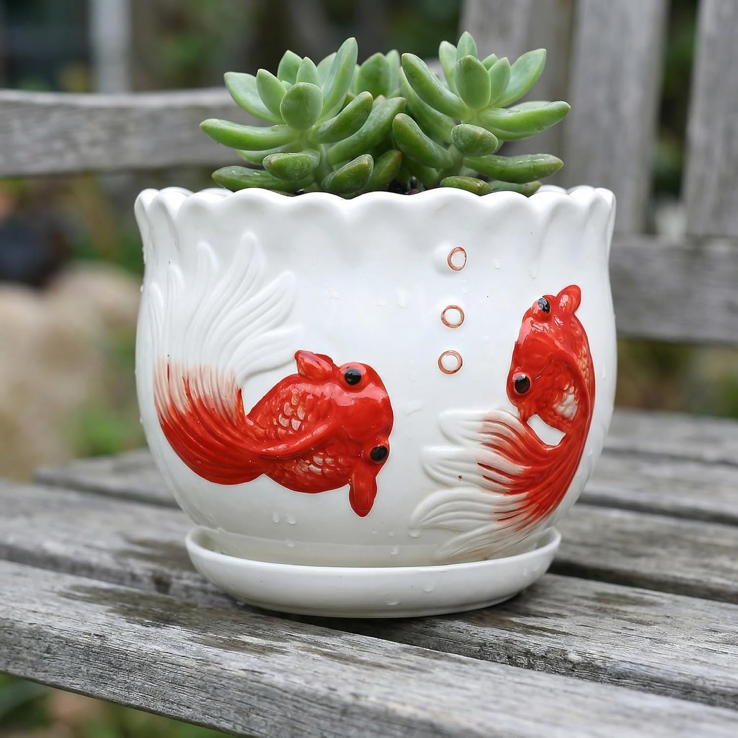 Ceramic Planter with Saucer - 3D Embossed Goldfish Design, Scalloped Edge Decorative Flower Pot for Indoor Outdoor Succulent Cactus, White Porcelain Plant Container with Drainage Hole