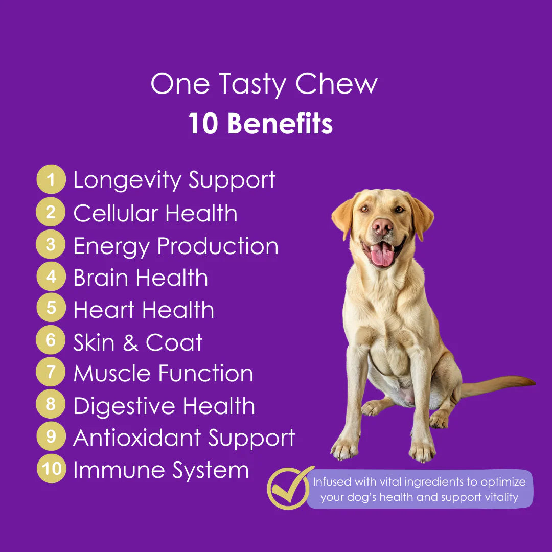 Longevity & Vitality Dog Chews