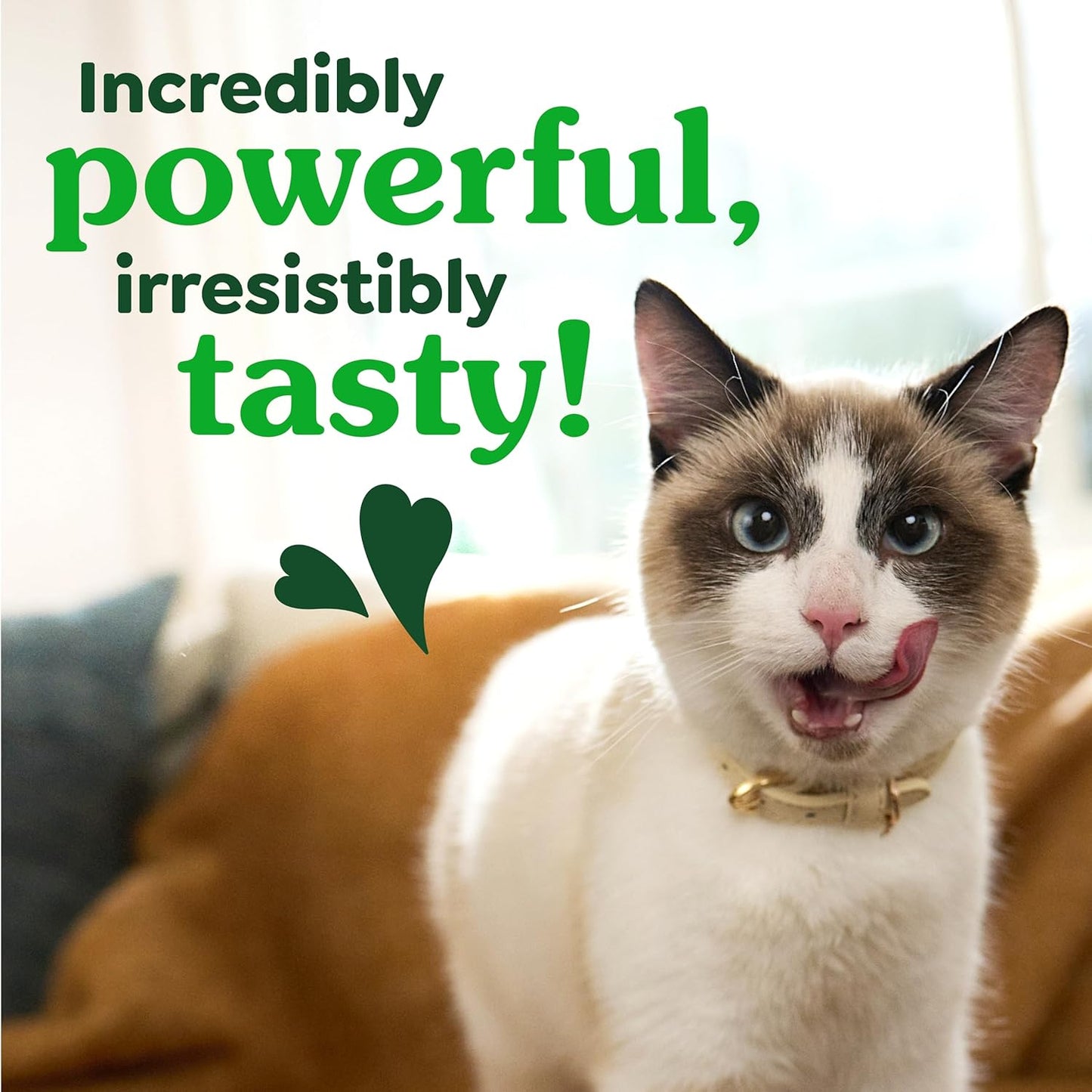 Cat Treats, Veterinarian-Recommended Adult Natural Dental Cat Treats, Tempting Tuna Flavor, 9.75 Oz. Tub
