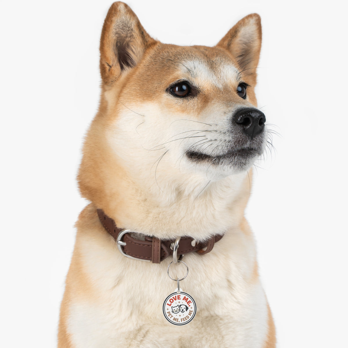 Pet Tag — "Love Me, Pet Me, Feed Me" Cute Cat & Dog ID Pendant