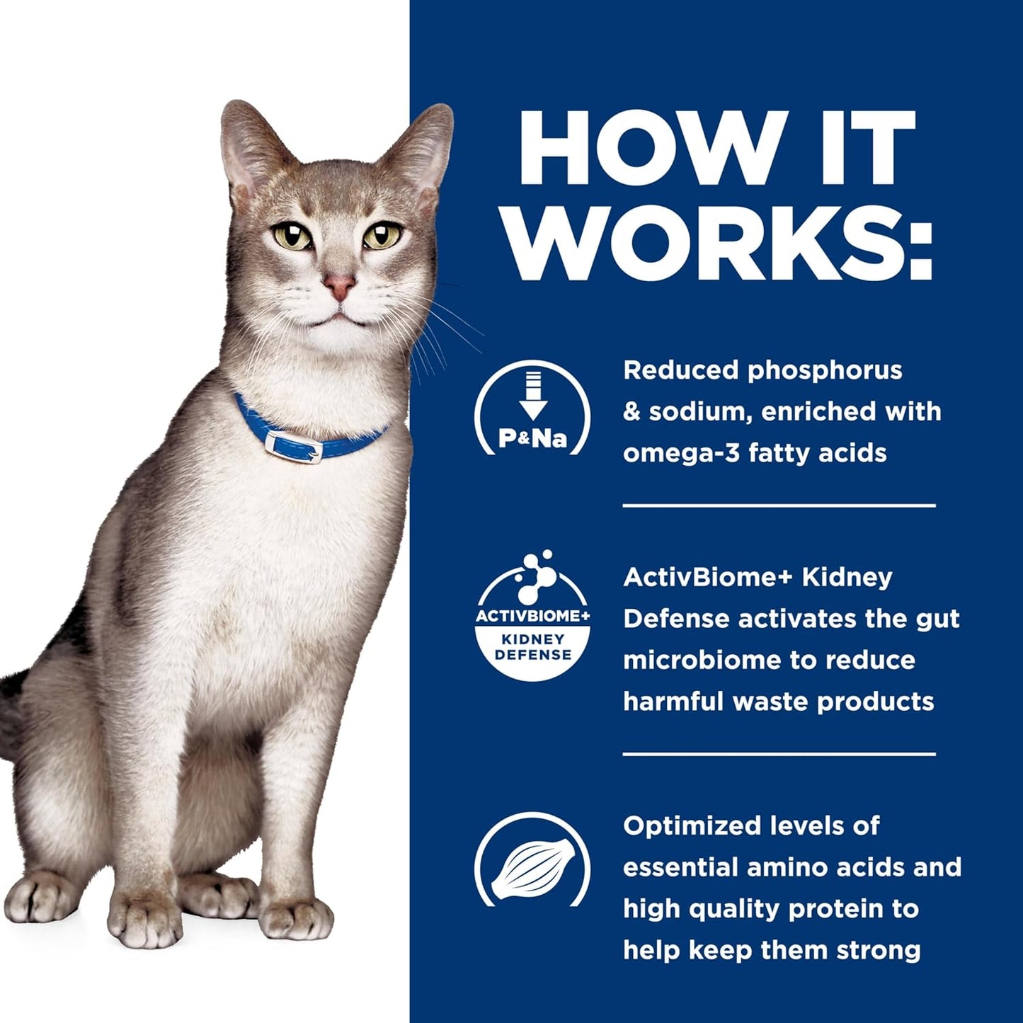 K/D Kidney Care Dry Cat Food, Ocean Fish, 4 Lb. Bag