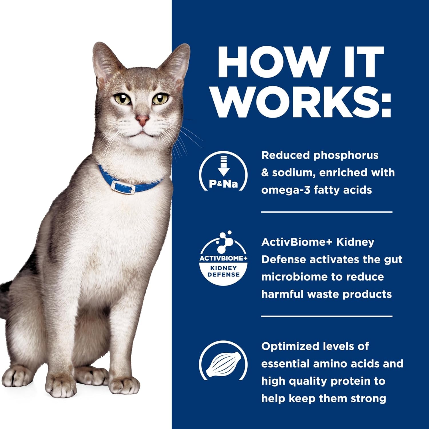 K/D Kidney Care Dry Cat Food, Ocean Fish, 4 Lb. Bag