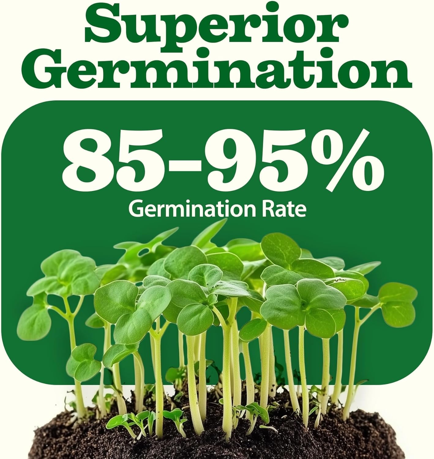 55 Variety Survival Seed Vault 28,000+ Heirloom Non-Gmo Vegetable Seeds for Planting, High Germination, Emergency Food Supply,Year-Round Garden Starter Kit,Gift for Gardeners