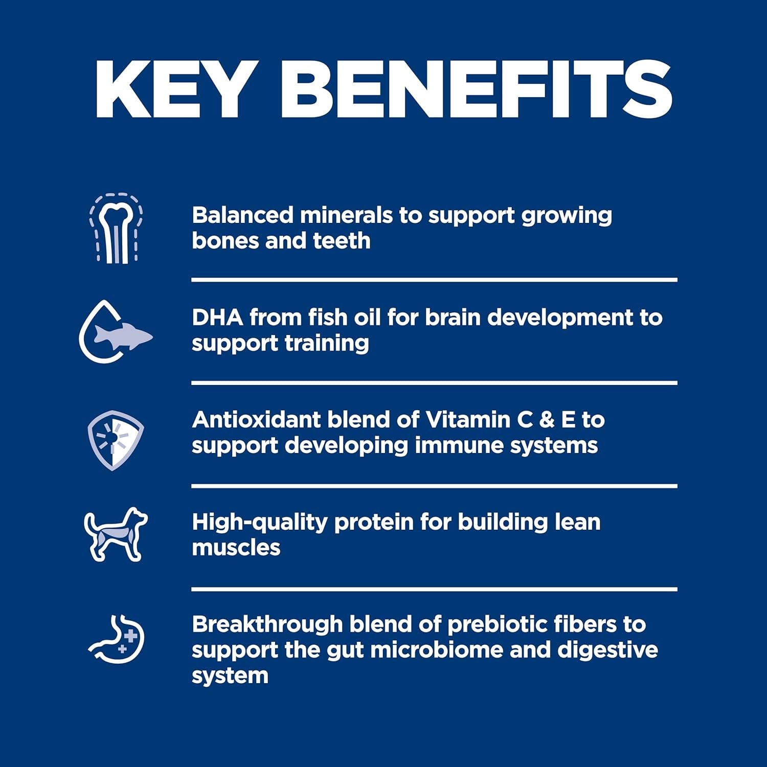 Puppy Dry Dog Food, Chicken & Brown Rice, 4.5 Lb. Bag