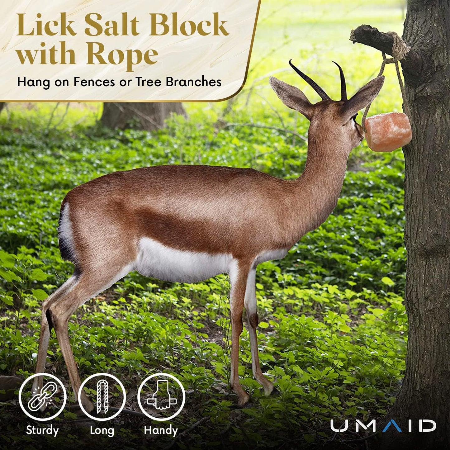 Himalayan Salt Lick 6 Lbs on Rope for Horse, Deer, Goat, and Livestock Animals - Himalayan Salt Block 1 Pack