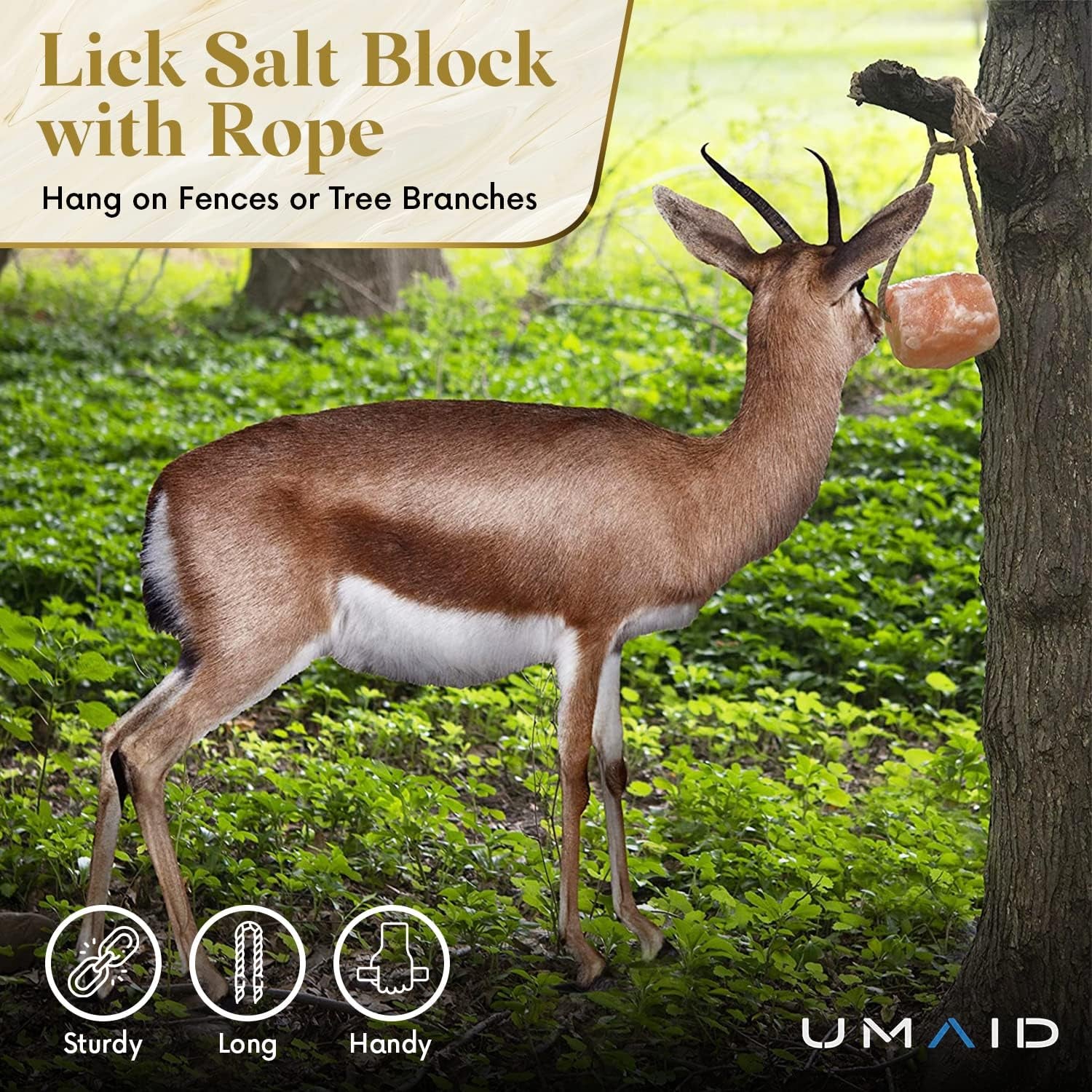 Himalayan Salt Lick 6 Lbs on Rope for Horse, Deer, Goat, and Livestock Animals - Himalayan Salt Block 1 Pack