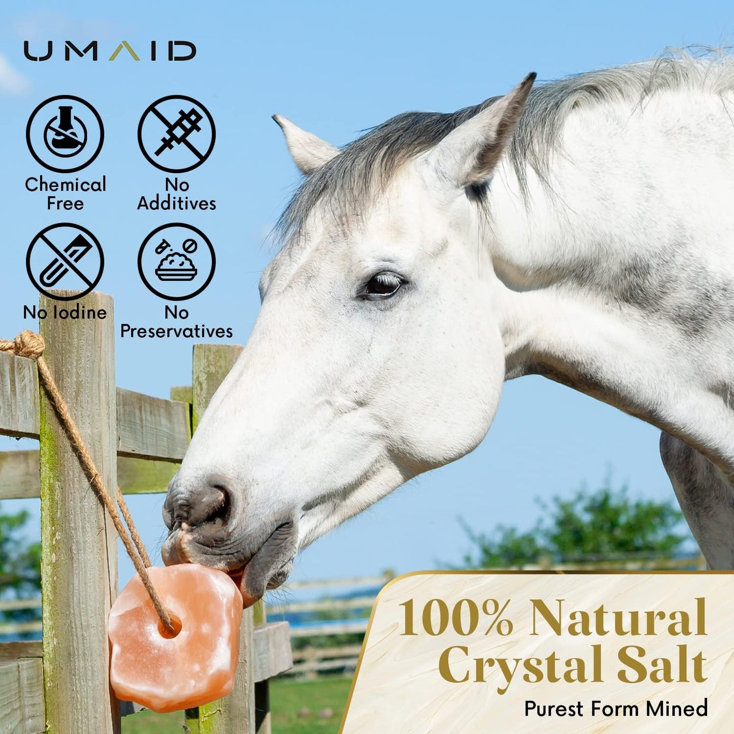 Himalayan Salt Lick 6 Lbs on Rope for Horse, Deer, Goat, and Livestock Animals - Himalayan Salt Block 1 Pack