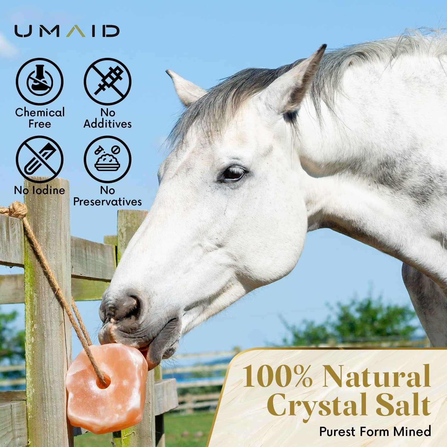 Himalayan Salt Lick 6 Lbs on Rope for Horse, Deer, Goat, and Livestock Animals - Himalayan Salt Block 1 Pack