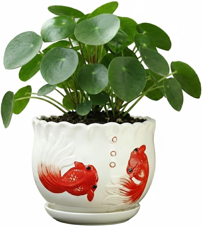 Ceramic Planter with Saucer - 3D Embossed Goldfish Design, Scalloped Edge Decorative Flower Pot for Indoor Outdoor Succulent Cactus, White Porcelain Plant Container with Drainage Hole