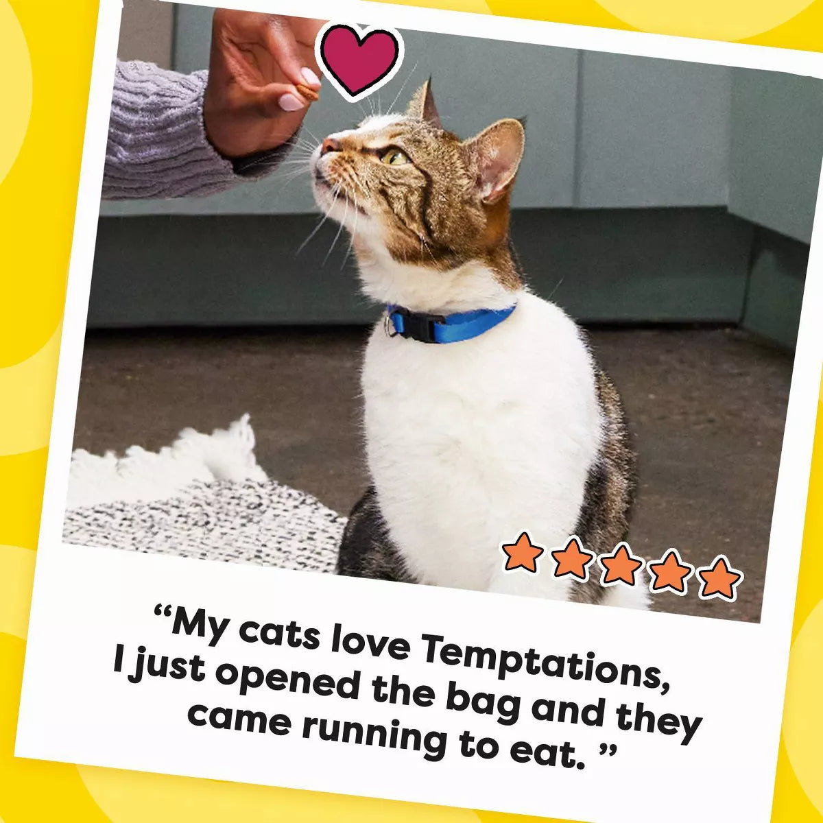 Temptations Classic Tasty Chicken Flavor Crunchy Cat Treats - 6.3Oz
