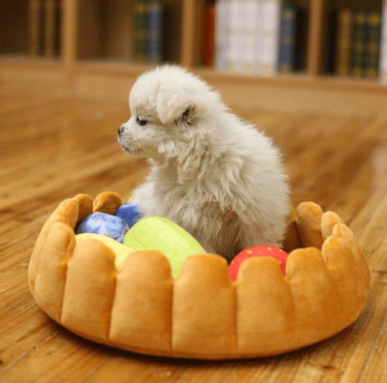 Cozy Fruit Tart Pet Bed - A Sweet Retreat For Your Furry Friends-3