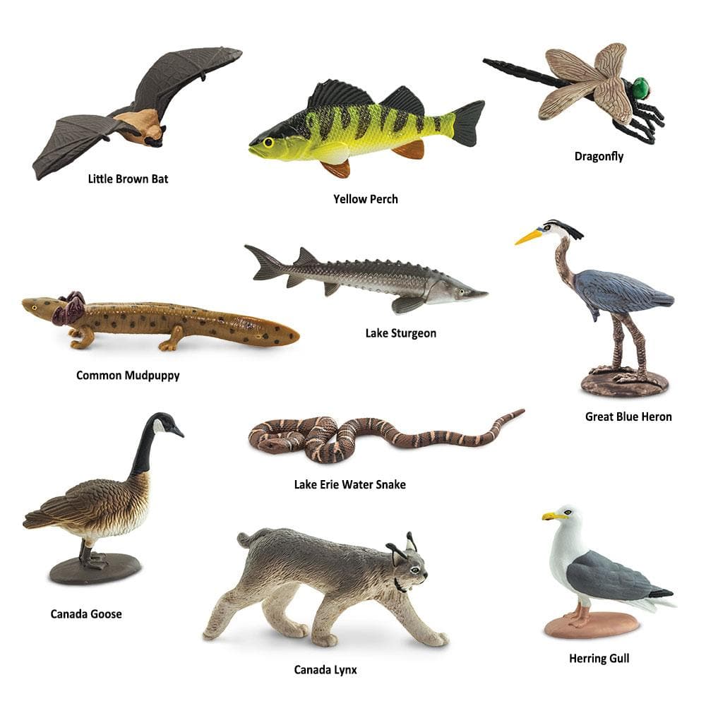Great Lakes Animal Toys TOOB®
