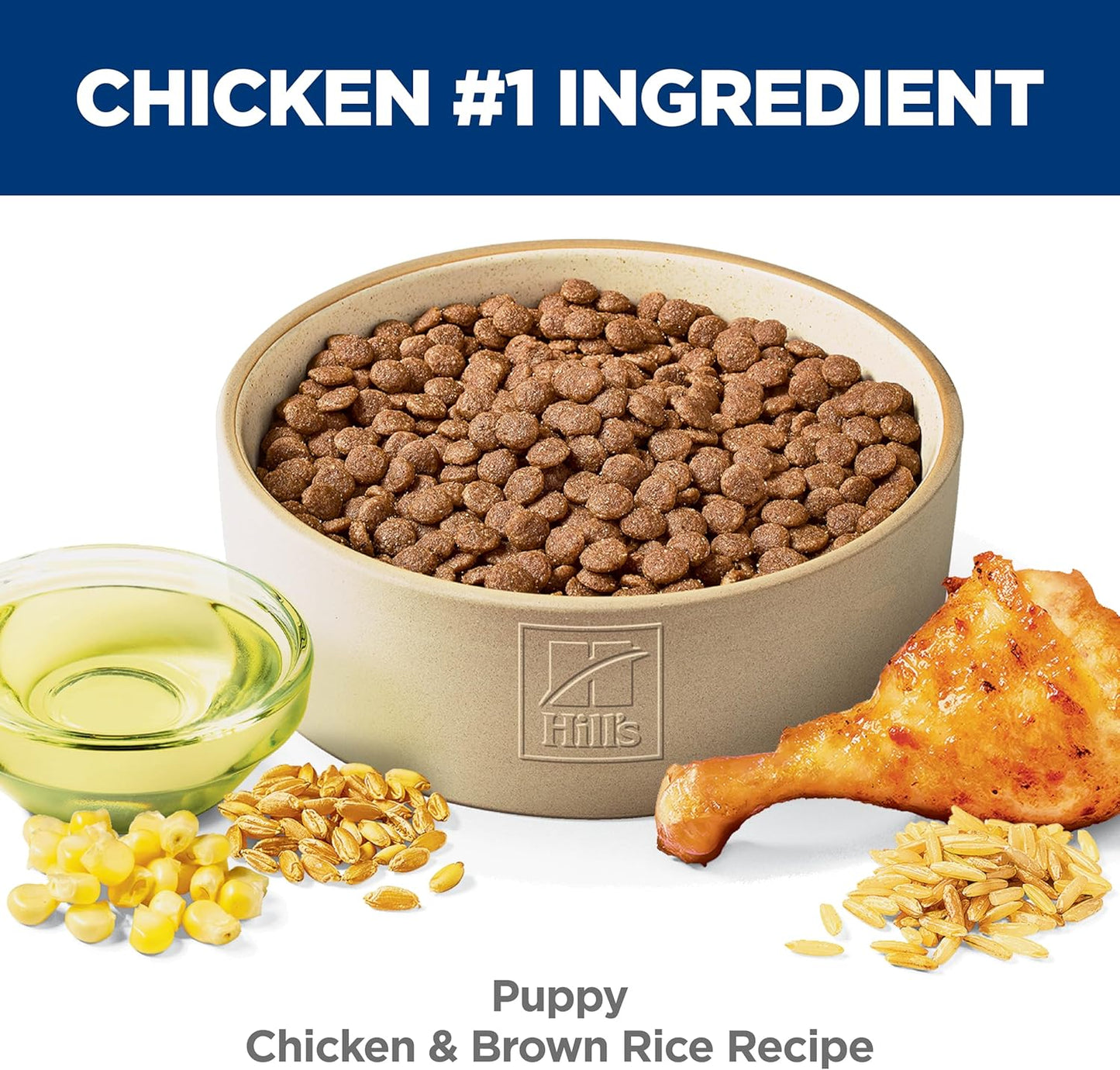 Puppy Dry Dog Food, Chicken & Brown Rice, 4.5 Lb. Bag