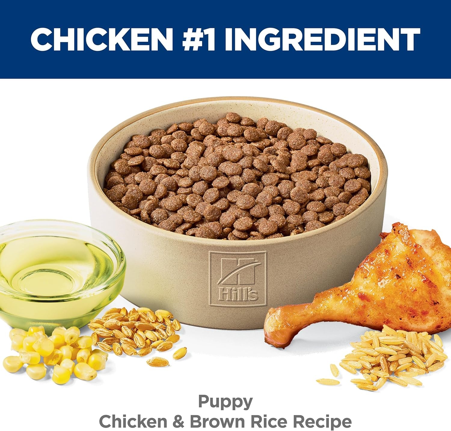 Puppy Dry Dog Food, Chicken & Brown Rice, 4.5 Lb. Bag