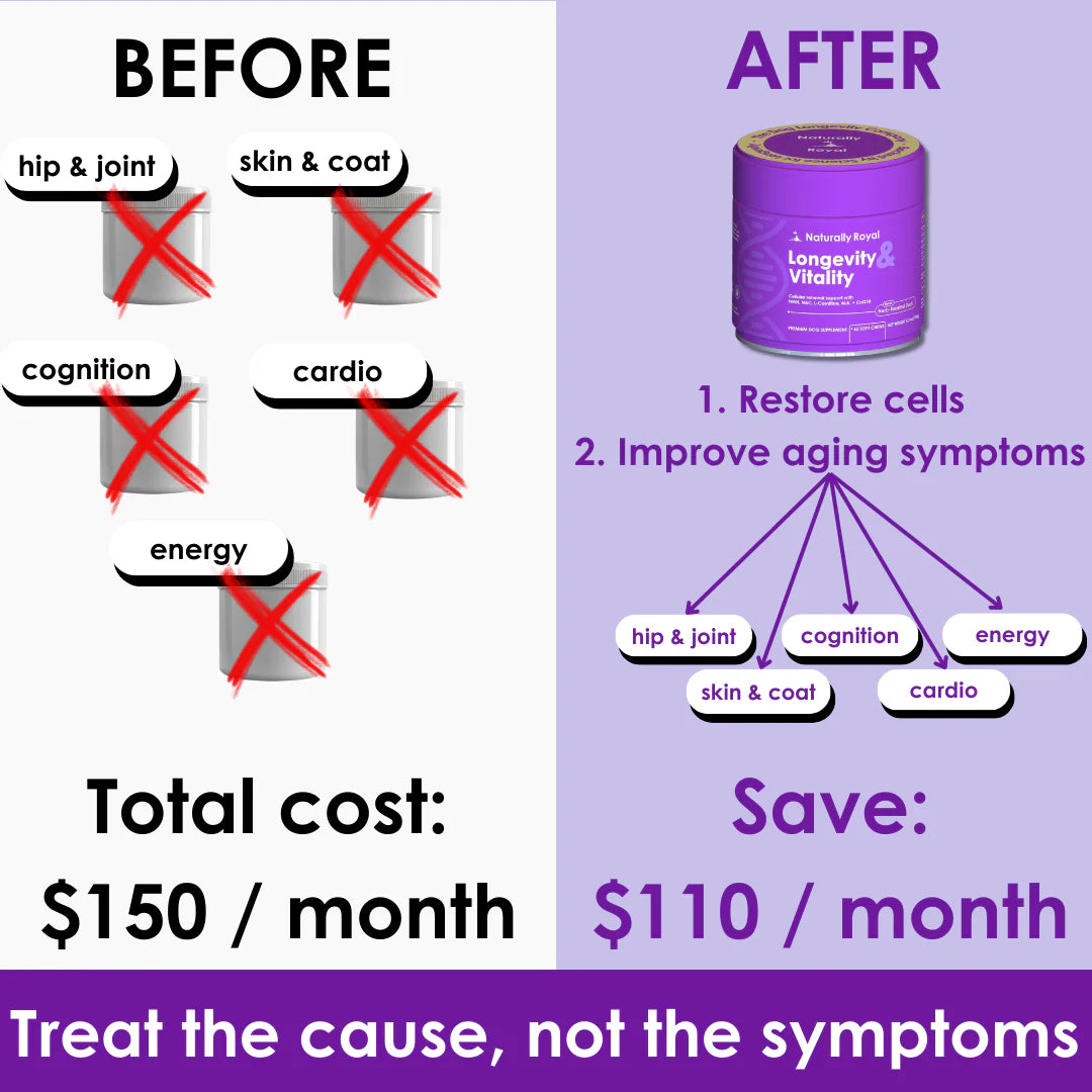 Longevity & Vitality Dog Chews