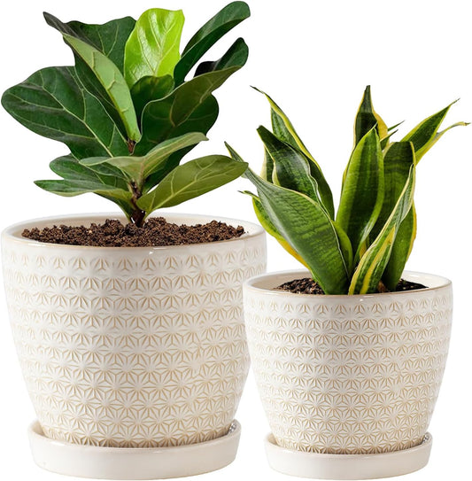 Plant Pots, Flower Pots, Planters for Indoor Plants(6.5+5.5Inch), Flower Pots for Indoor Plant with Drainage Hole and Saucer, Ceramic Pots for Plants with Hole Mesh Pad,Reactive Glaze White