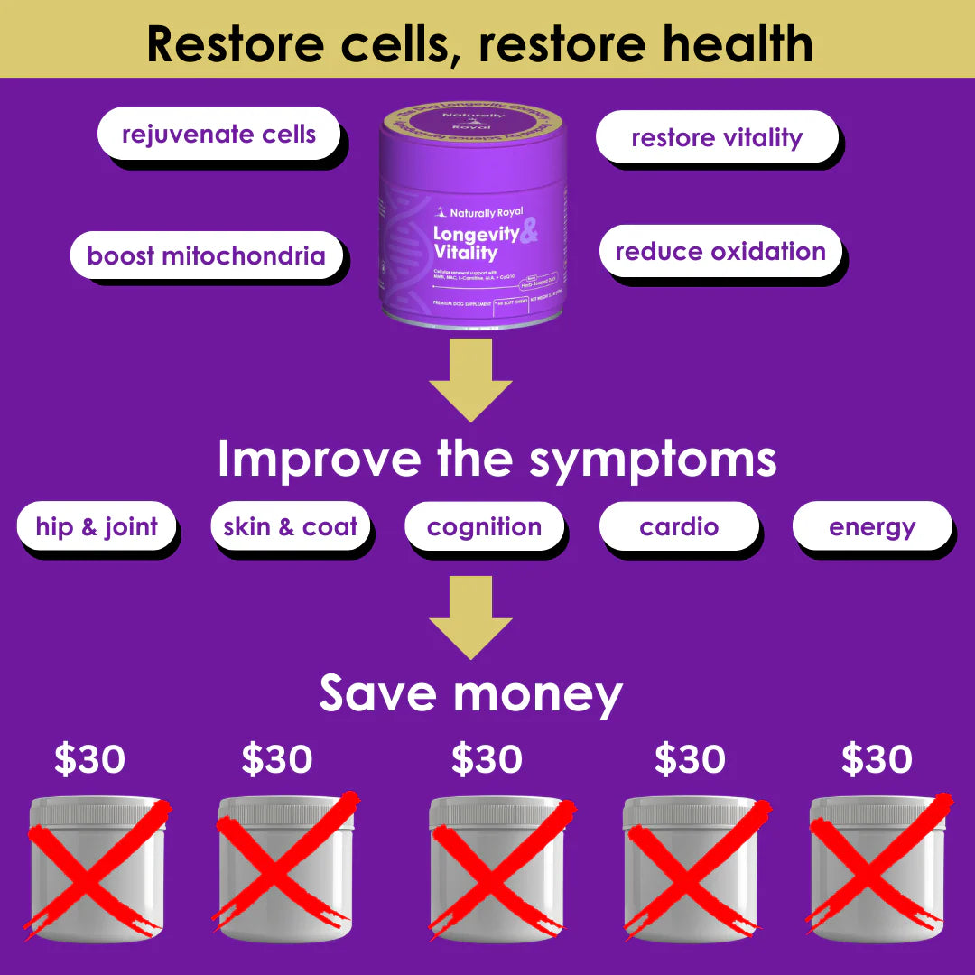 Longevity & Vitality Dog Chews