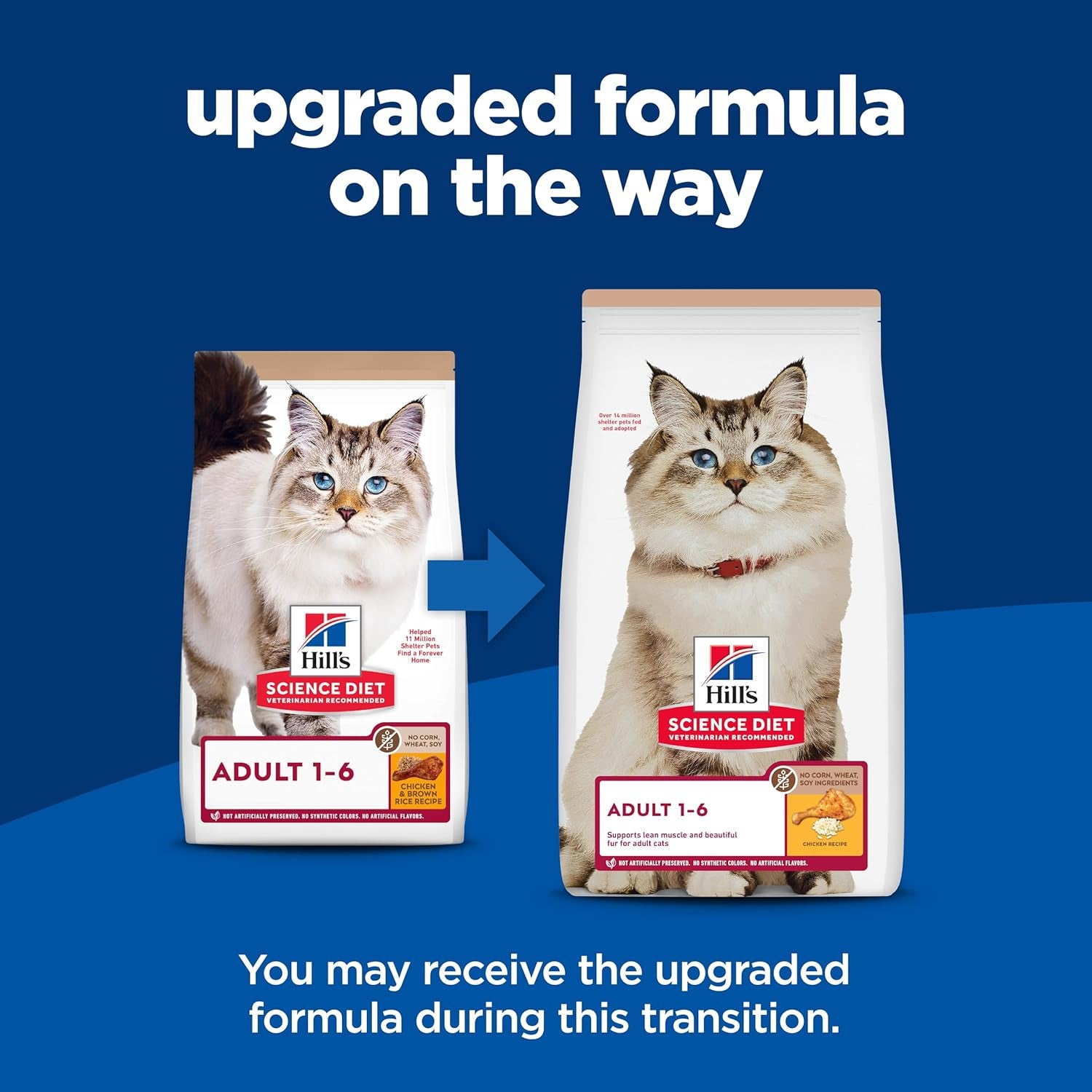 Adult 1-6 No Corn, Wheat or Soy Dry Cat Food, Chicken, 3.5 Lb. Bag