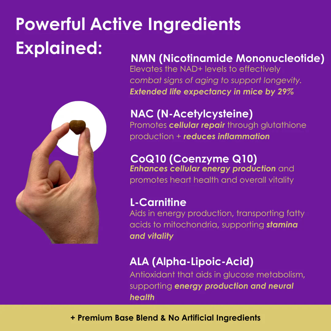 Longevity & Vitality Dog Chews