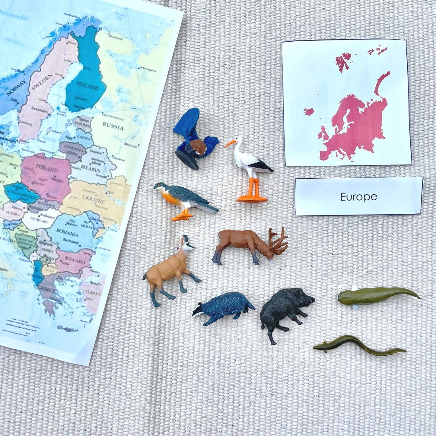 European Animal Figures TOOB®